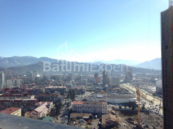 ბინა 2-ოთახი 51.4 კვ.მ - ნიკო ფიროსმანი, Batumi
