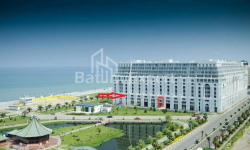 ბინა 1-ოთახი 77 კვ.მ - იურიევსკაია, Batumi