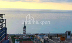 ბინა 1-ოთახი 33 კვ.მ - ნიკო ფიროსმანი, Batumi