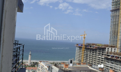 ბინა 1-ოთახი 31 კვ.მ - ნიკო ფიროსმანი, Batumi