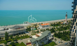 ბინა 1-ოთახი 33 კვ.მ - შერიფ ხიმშიაშვილი, Batumi