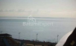 ბინა 1-ოთახი 24 კვ.მ - იურიევსკაია, Batumi