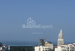 ბინა 2-ოთახი 42 კვ.მ - ილია ჭავჭავაძე, Batumi