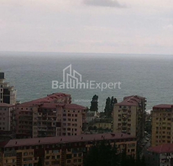 ბინა 1-ოთახი 50 კვ.მ - ტბელ-აბუსერიძე, Batumi