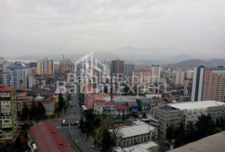 ბინა 1-ოთახი 30 კვ.მ - ტბელ-აბუსერიძე, Batumi