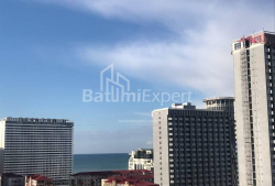 ბინა 3-ოთახი 53 კვ.მ - ნიკო ფიროსმანი, Batumi