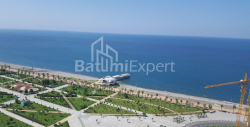 ბინა 2-ოთახი 39 კვ.მ - შერიფ ხიმშიაშვილი, Batumi
