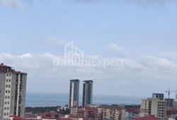 ბინა 3-ოთახი 60 კვ.მ - ივანე ჯავახიშვილი, Batumi