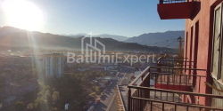 ბინა 1-ოთახი 28 კვ.მ - პეტრა ბაგრატიონი, Batumi