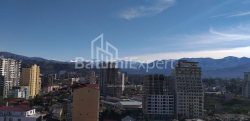 ბინა 1-ოთახი 31.3 კვ.მ - შალვა ინასარიძე, Batumi