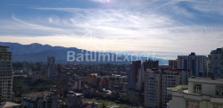 ბინა 1-ოთახი 31.3 კვ.მ - შალვა ინასარიძე, Batumi