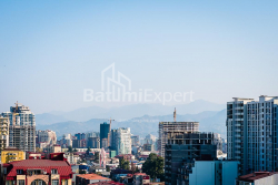 ბინა 33.1 კვ/მ - შალვა ინასარიძე, Batumi, საქართველო