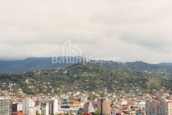ბინა 52.5 კვ/მ - ექვთიმე თაყაიშვილი, Batumi, საქართველო