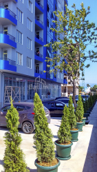 ბინა 30 კვ/მ - შერიფ ხიმშიაშვილი, Batumi, საქართველო