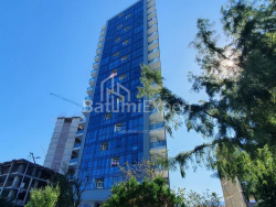 ბინა 1-ოთახი 30 კვ.მ - შერიფ ხიმშიაშვილი, Batumi