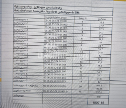 სასტუმრო 1347 კვ/მ - პეტრე იბერი, გონიო, საქართველო