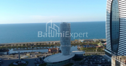 ბინა 1-ოთახი 49.2 კვ.მ - ნიკო ფიროსმანი, Batumi