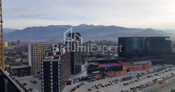 ბინა 1-ოთახი 31 კვ.მ - შერიფ ხიმშიაშვილი, Batumi