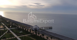 ბინა 1-ოთახი 31 კვ.მ - შერიფ ხიმშიაშვილი, Batumi
